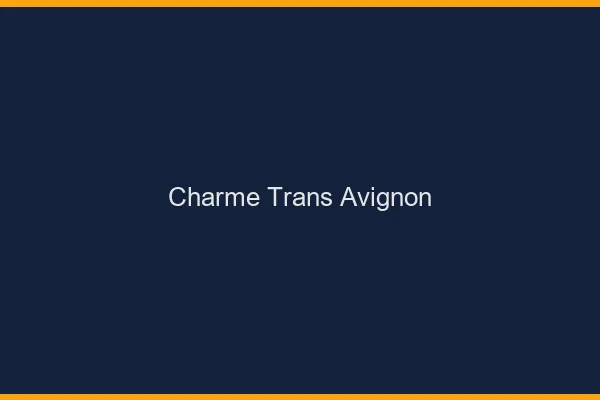 Charme trans Avignon