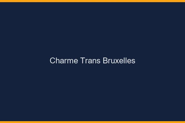 Charme trans Bruxelles