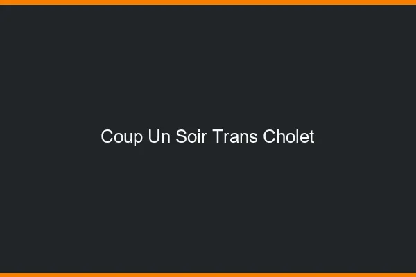 Coup d'un soir trans cholet