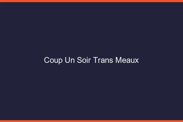 Coup d'un soir trans meaux