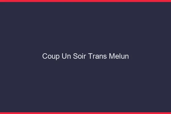 Coup d'un soir trans melun