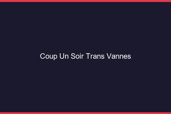 Coup d'un soir trans vannes
