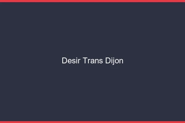 Désir trans Dijon
