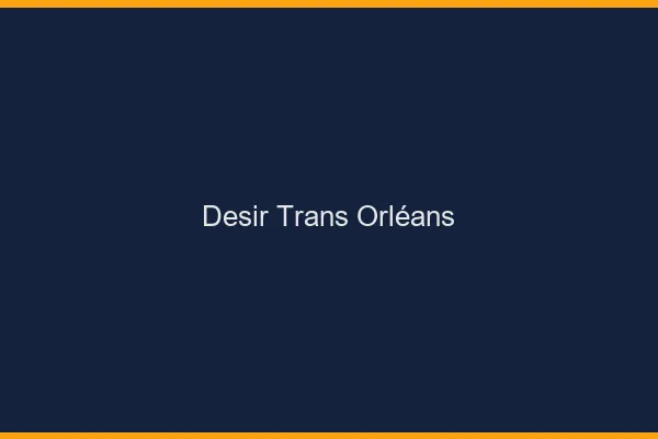 Désir trans Orléans