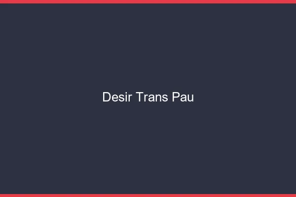 Désir trans Pau
