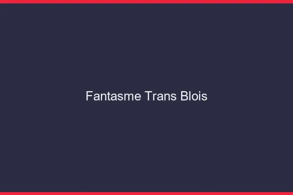 Fantasme trans blois