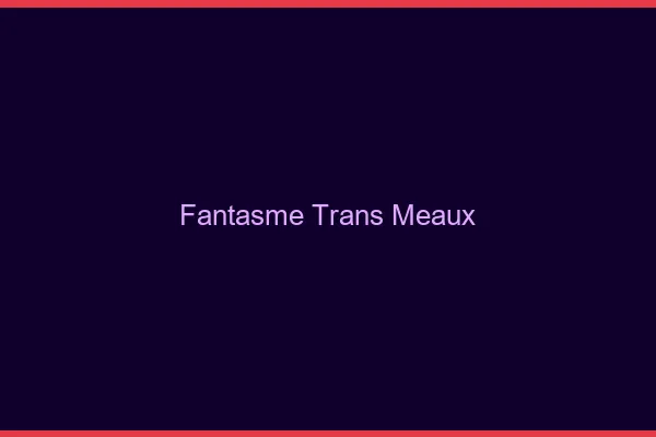 Fantasme trans meaux