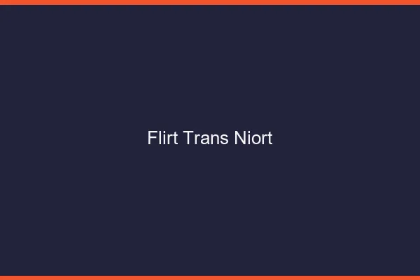 Flirt trans niort