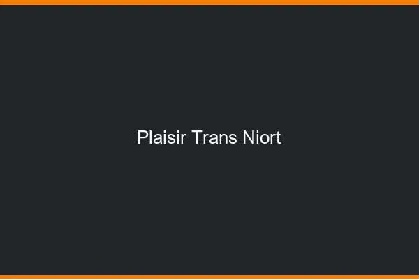 Plaisir trans niort