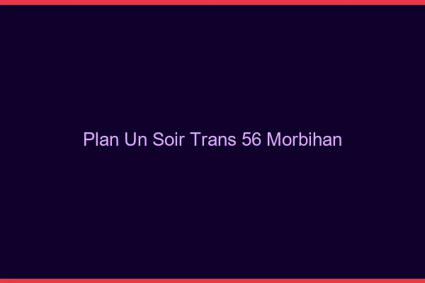 Plan d'un soir trans 56 morbihan