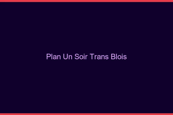 Plan d'un soir trans blois