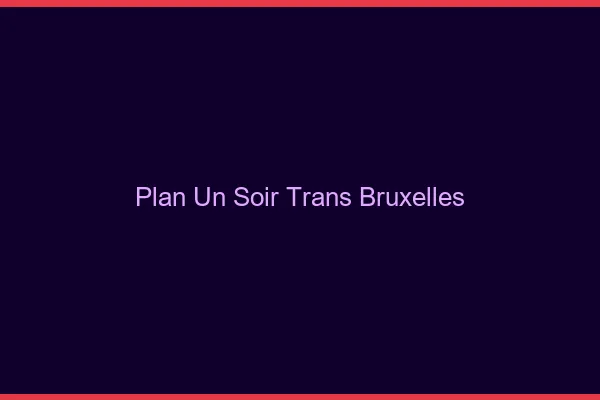 Plan d'un soir trans Bruxelles