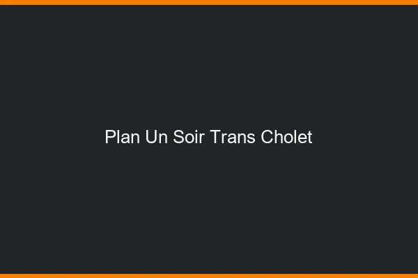 Plan d'un soir trans cholet
