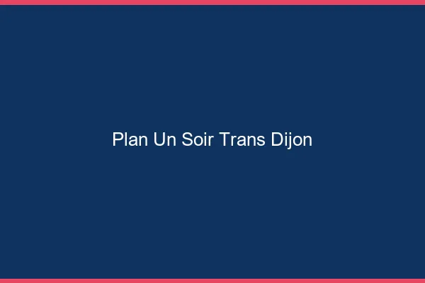 Plan d'un soir trans Dijon