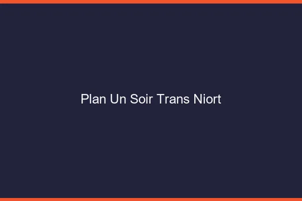 Plan d'un soir trans niort