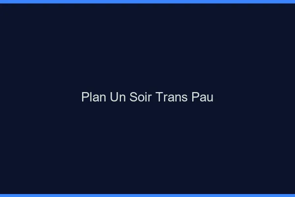 Plan d'un soir trans Pau