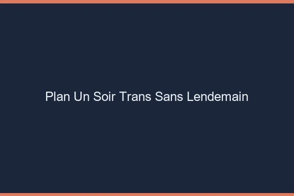 Plan d'un soir trans sans lendemain