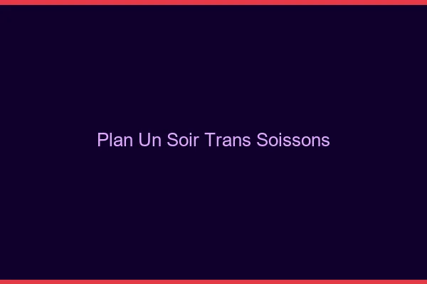 Plan d'un soir trans soissons