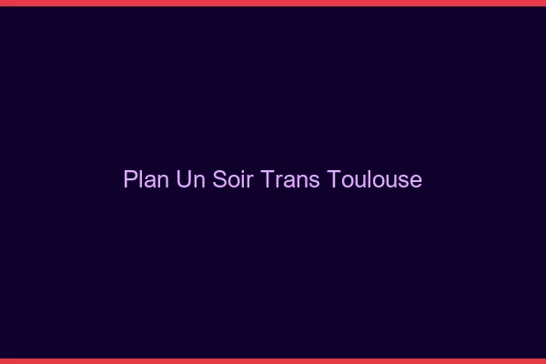 Plan d'un soir trans Toulouse