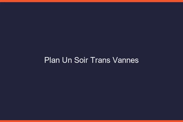 Plan d'un soir trans vannes