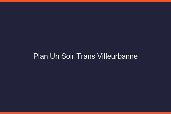 Plan d'un soir trans villeurbanne
