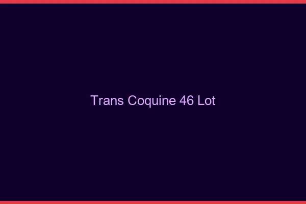 Trans coquine 46 lot