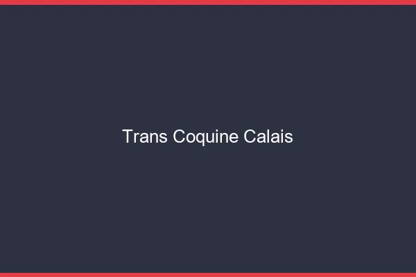 Trans coquine Calais