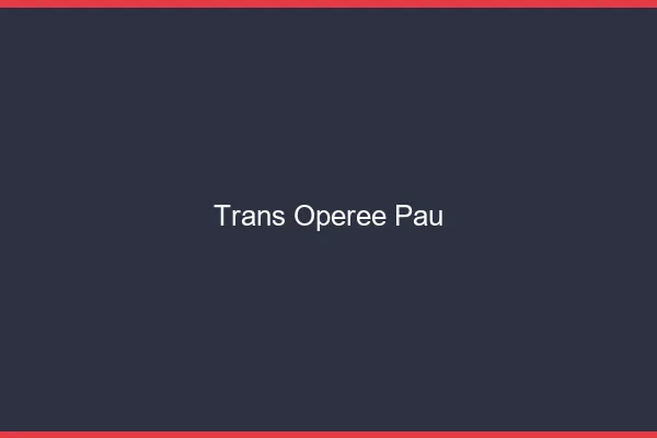 Trans opérée Pau