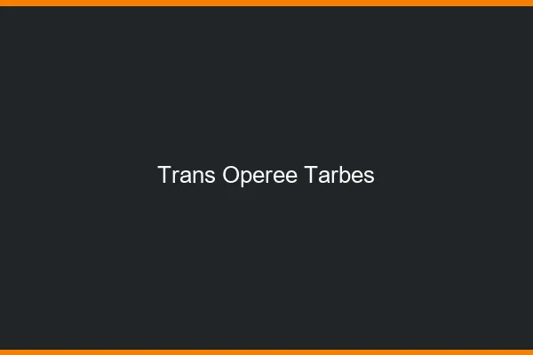 Trans opérée tarbes