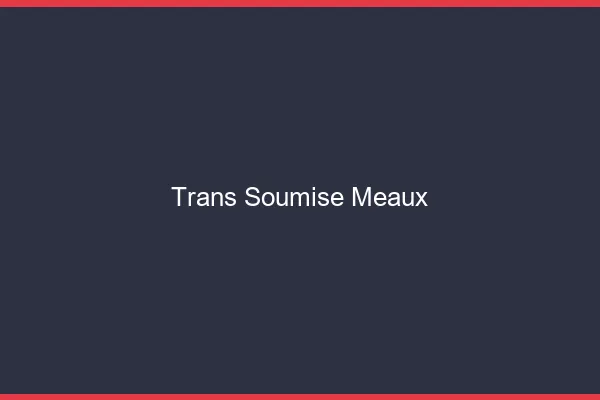 Trans soumise meaux